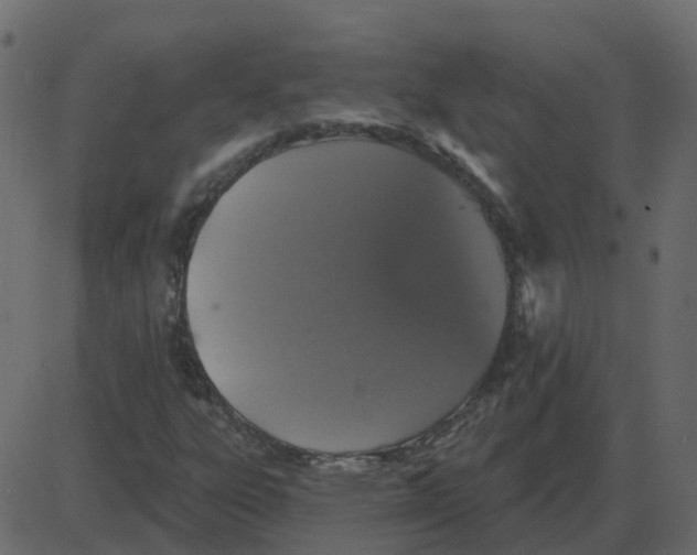 X0000087411303200705181347