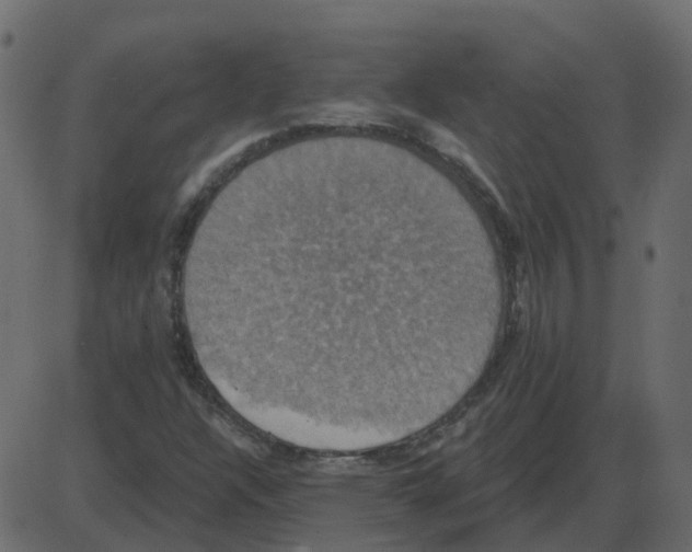 X0000087411304200705181347