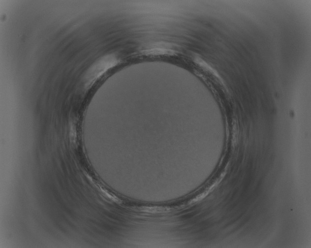 X0000087411305200705181347