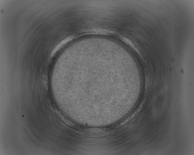 X0000087411307200705181347