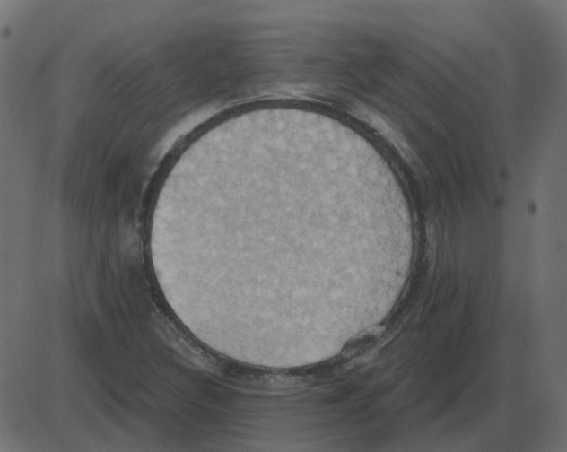 X0000087411308200705181347