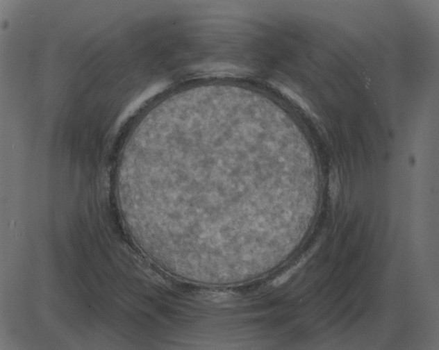 X0000087411309200705181347