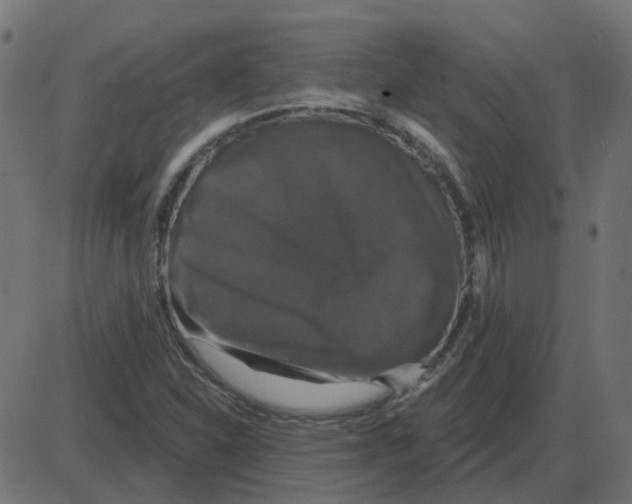 X0000087411310200705181347