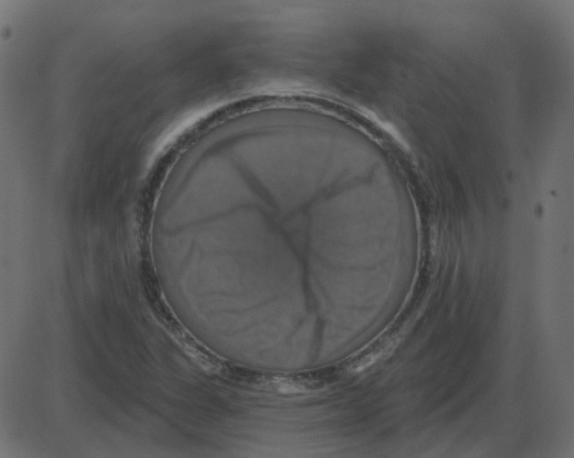 X0000087411311200705181347