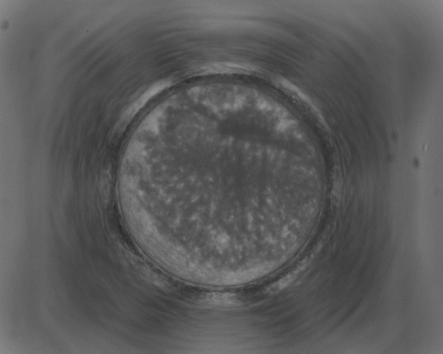 X0000087411313200705181347