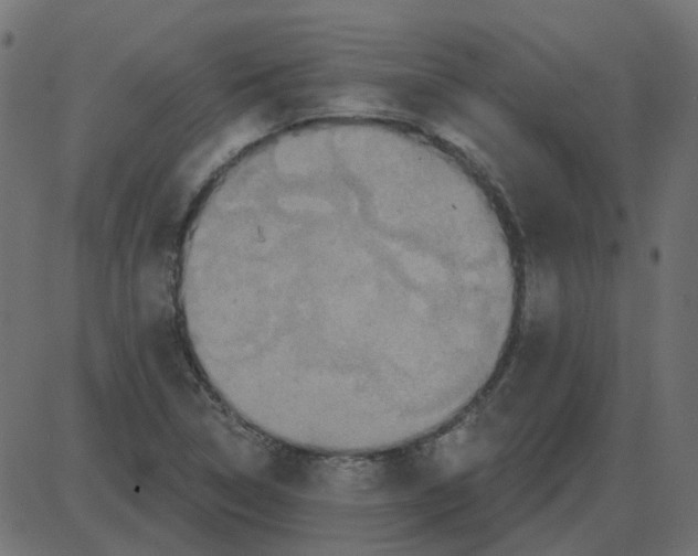 X0000087411314200705181347