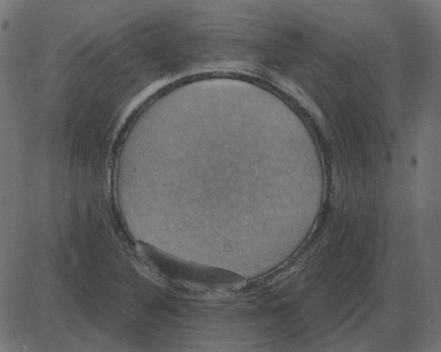 X0000087411316200705181347