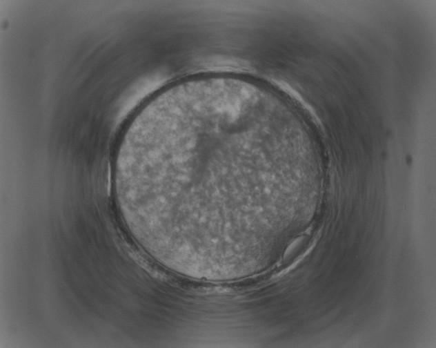 X0000087411317200705181347