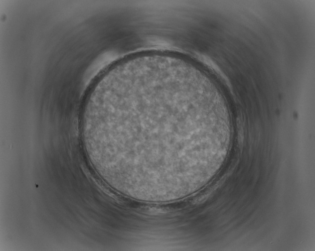 X0000087411318200705181347