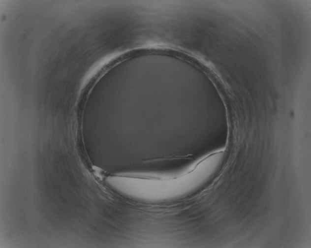 X0000087411319200705181347