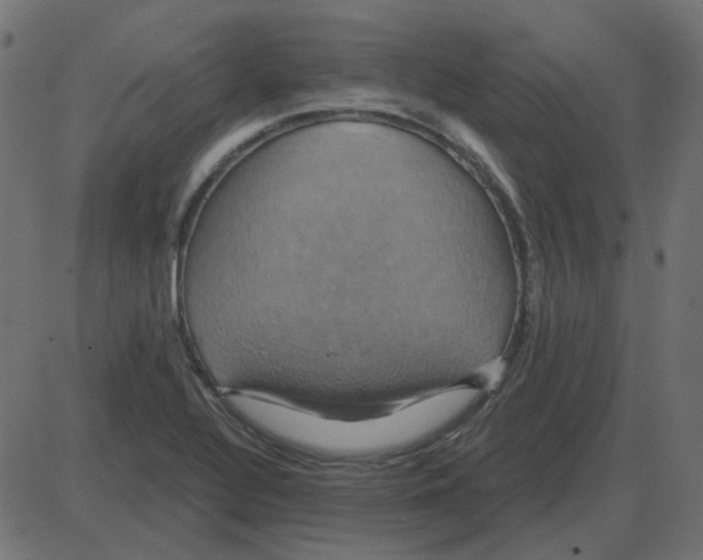 X0000087411320200705181347