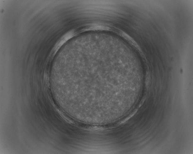 X0000087411321200705181347