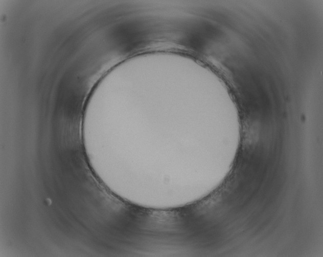 X0000087411322200705181348