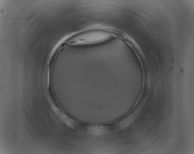 X0000087411323200705181348