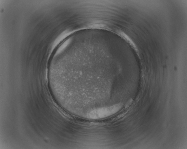 X0000087411324200705181348