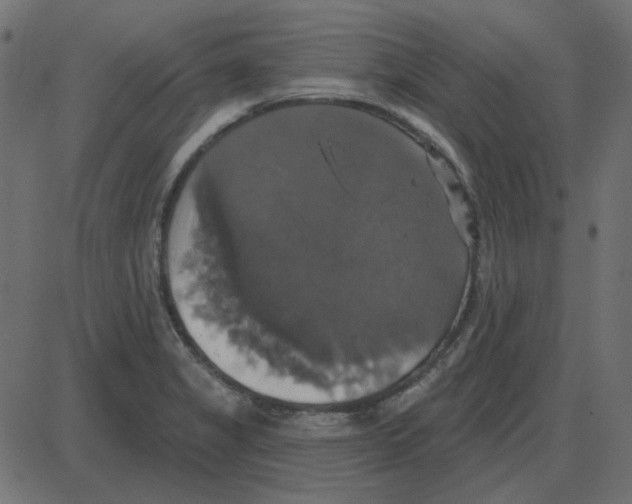 X0000087411325200705181348