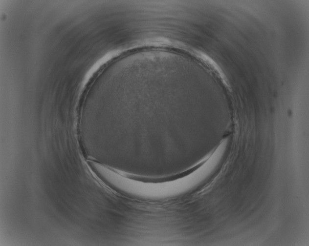 X0000087411326200705181348