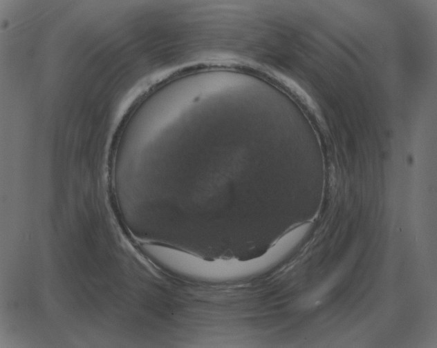 X0000087411327200705181348