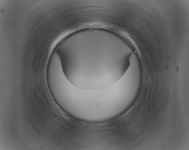 X0000087411328200705181348