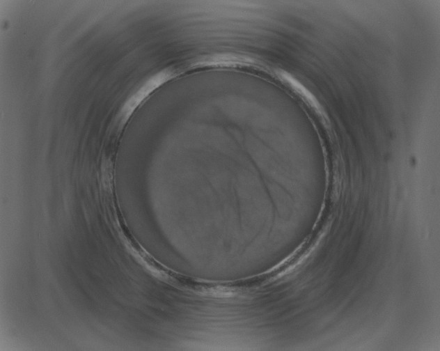 X0000087411329200705181348