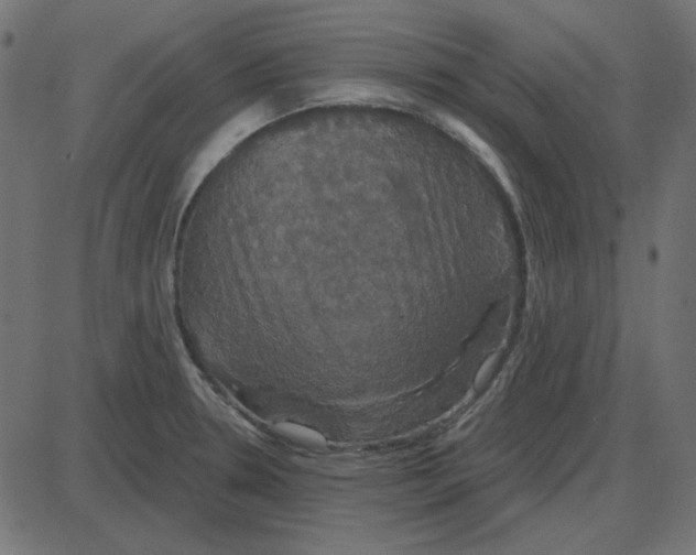 X0000087411330200705181348