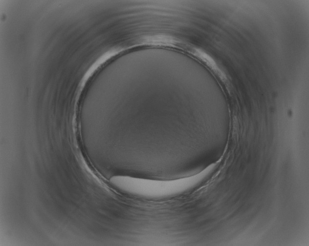 X0000087411331200705181348