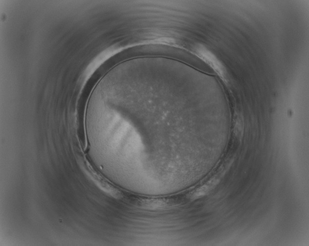 X0000087411332200705181348