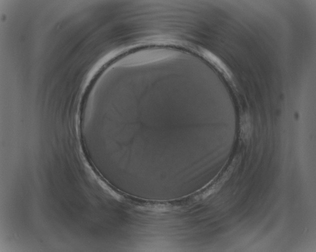 X0000087411334200705181348