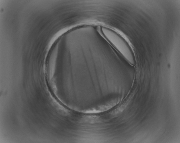 X0000087411335200705181348