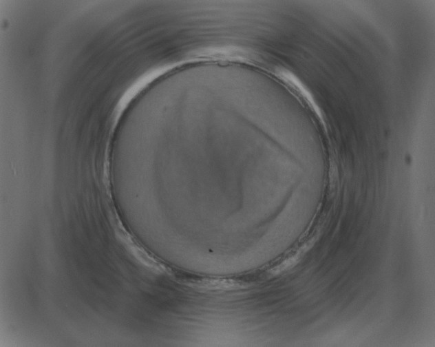 X0000087411336200705181348