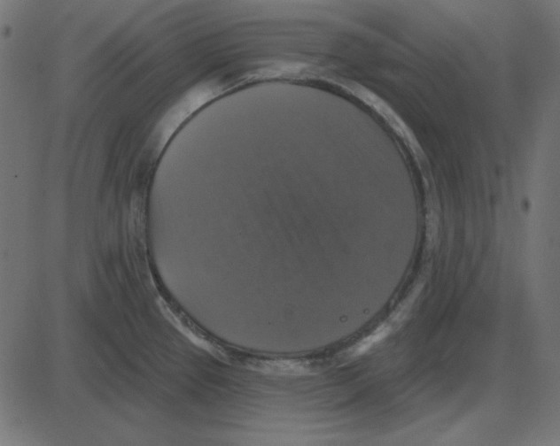 X0000087411337200705181348