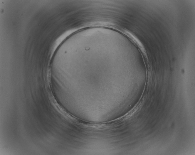 X0000087411340200705181348