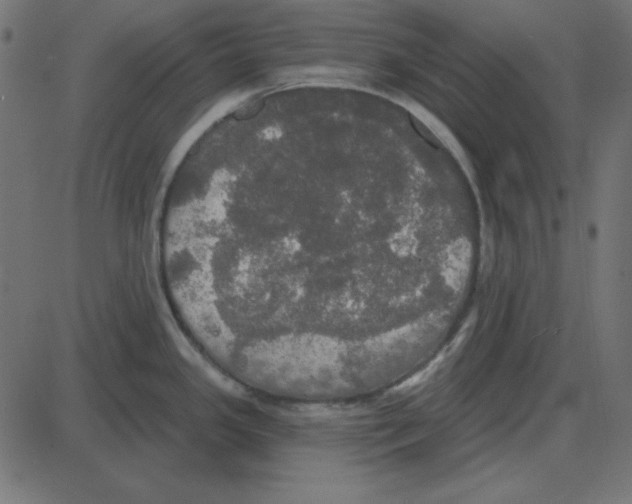 X0000087411341200705181348