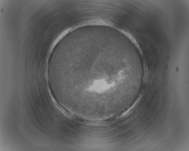 X0000087411342200705181348