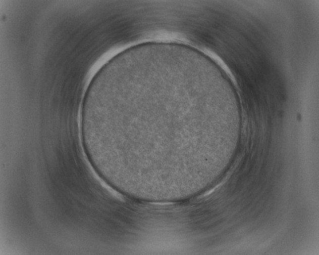 X0000087411343200705181348