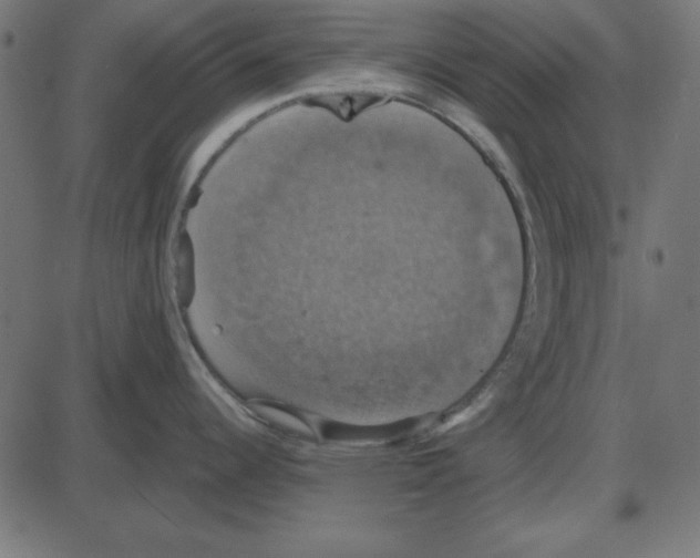 X0000087411344200705181348