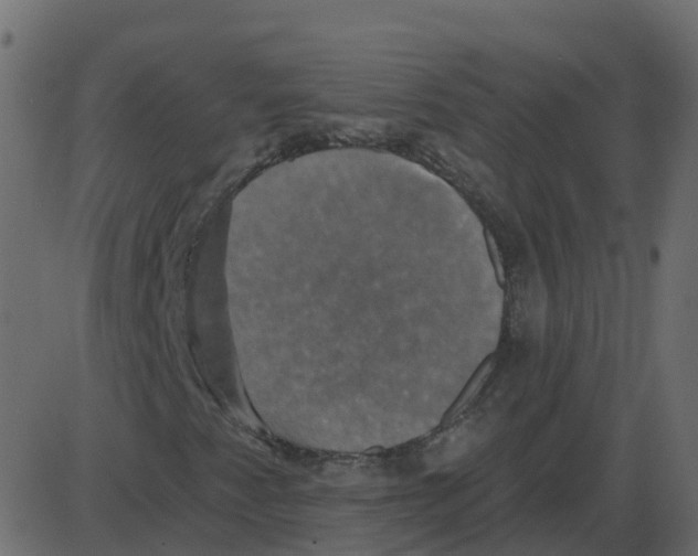 X0000087411345200705181347