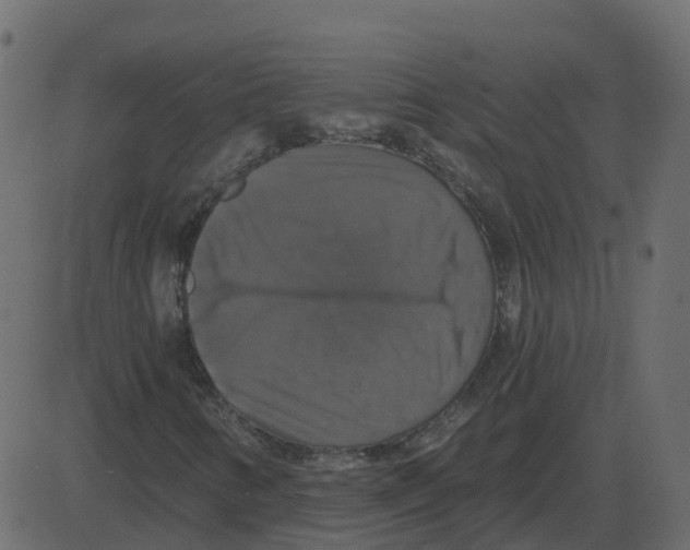 X0000087411346200705181347