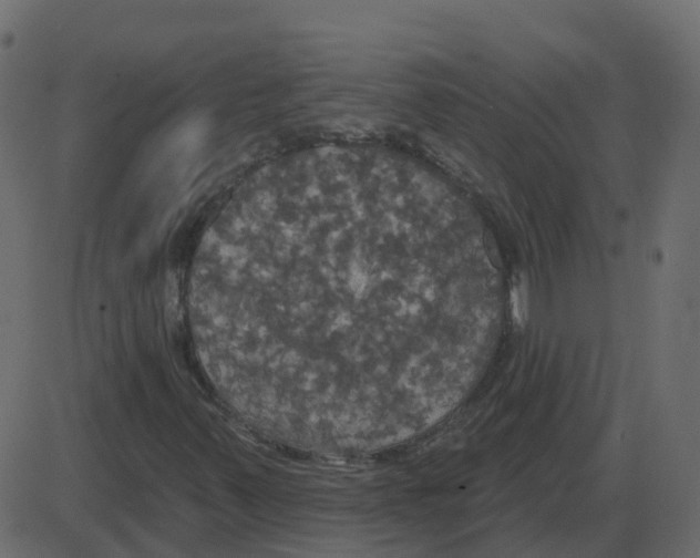 X0000087411347200705181347