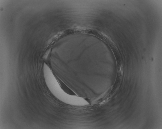 X0000087411348200705181347