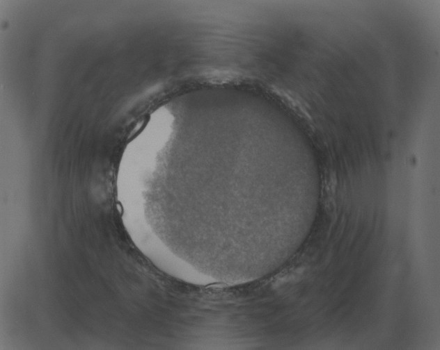 X0000087411349200705181347