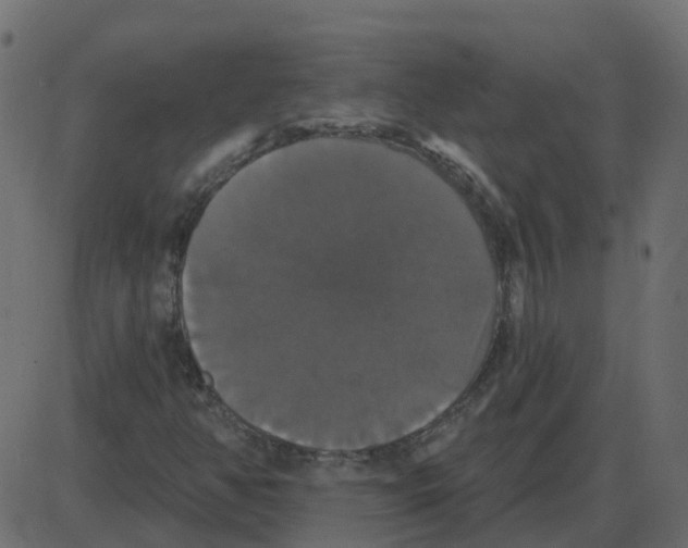 X0000087411350200705181347