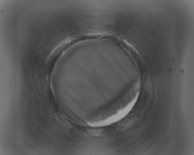 X0000087411351200705181347