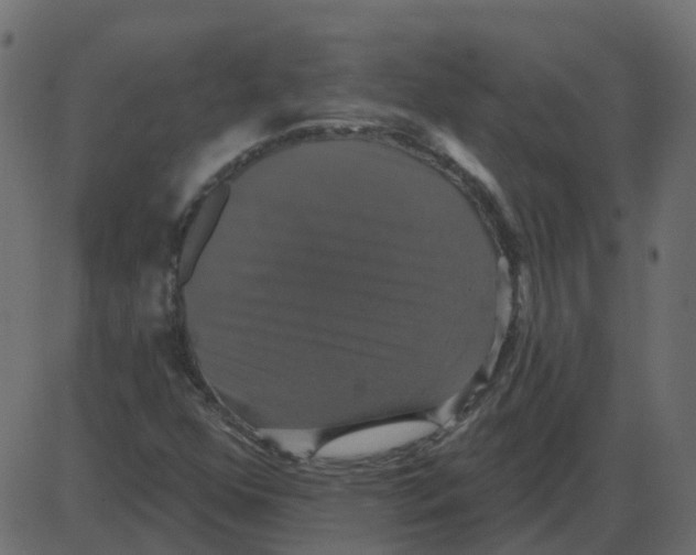 X0000087411352200705181347