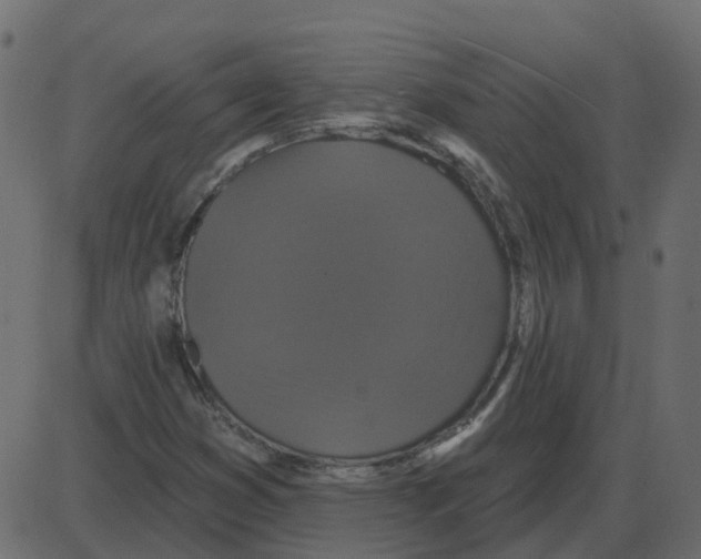 X0000087411353200705181347