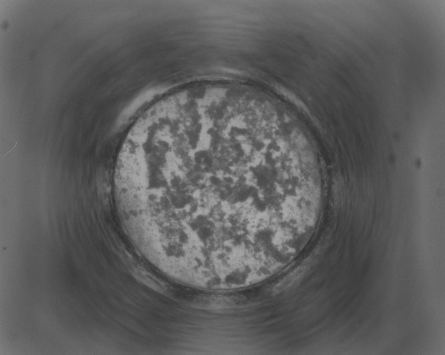 X0000087411355200705181347