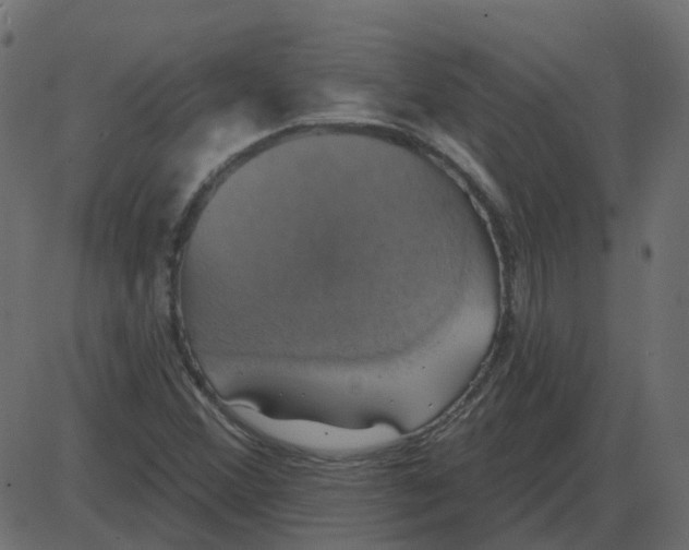 X0000087411356200705181347