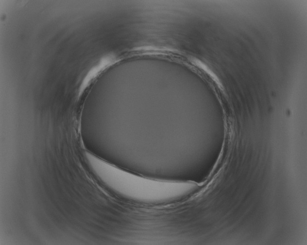 X0000087411357200705181347