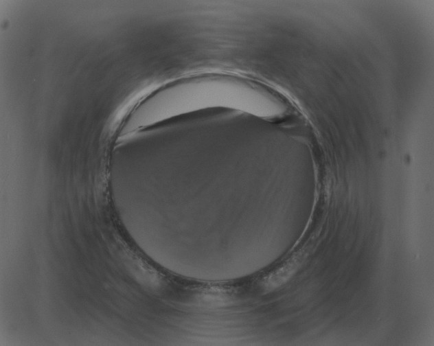 X0000087411359200705181347