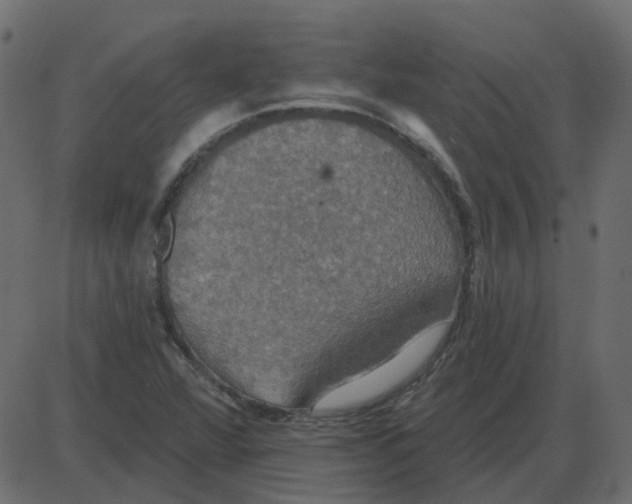 X0000087411360200705181347